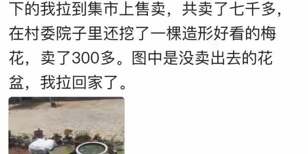 九游娱乐-捡漏二手物品简直太香了！网友分享一个比一个羡慕，冒青烟了